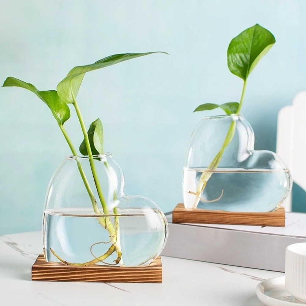 Transparante hydrocultuur glaz - Propagation Station Vase recensie en prijs