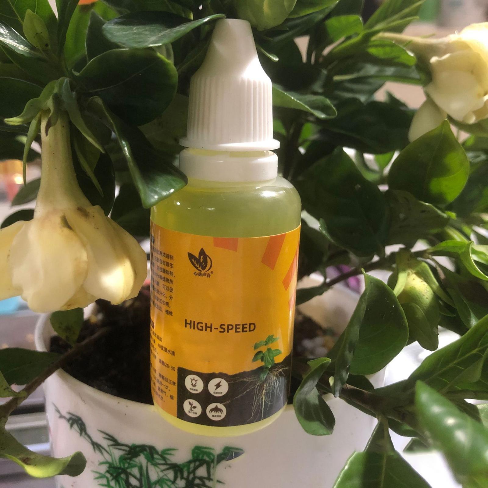 Snel Oppotten Wroeten Plant Vo - Root Stimulator Liquid recensie en prijs