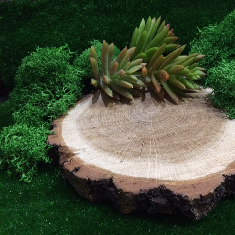 20G Natuurlijke Mos Kunstplant - Sphagnum Moss Dry recensie en prijs