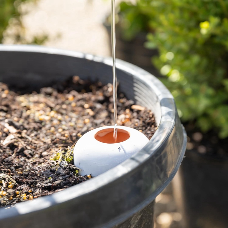Plant Drinkbal, Terracotta Gie - Self Watering Insert recensie en prijs